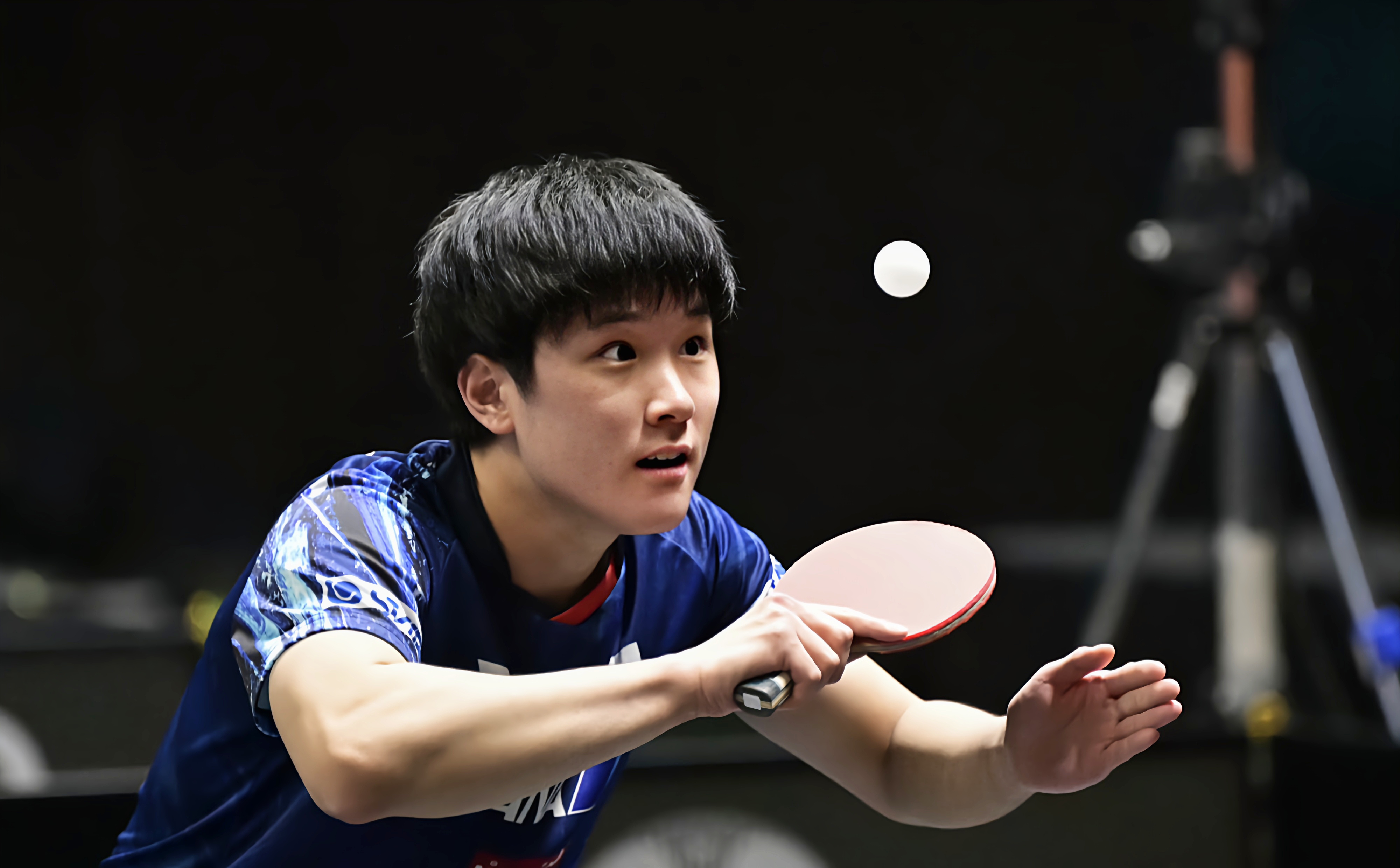 奥地利队横扫韩国队，梁靖崑惊艳四座的简单介绍