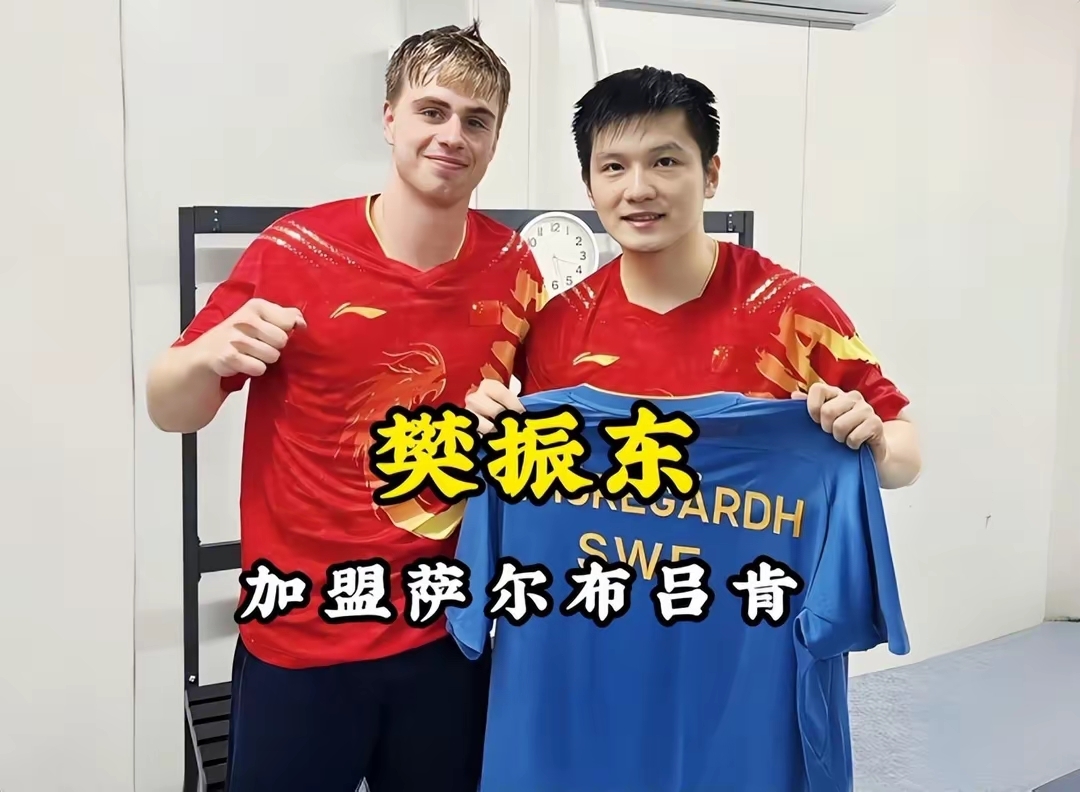 开云官网-德国队逆转葡萄牙队，樊振东统治全场