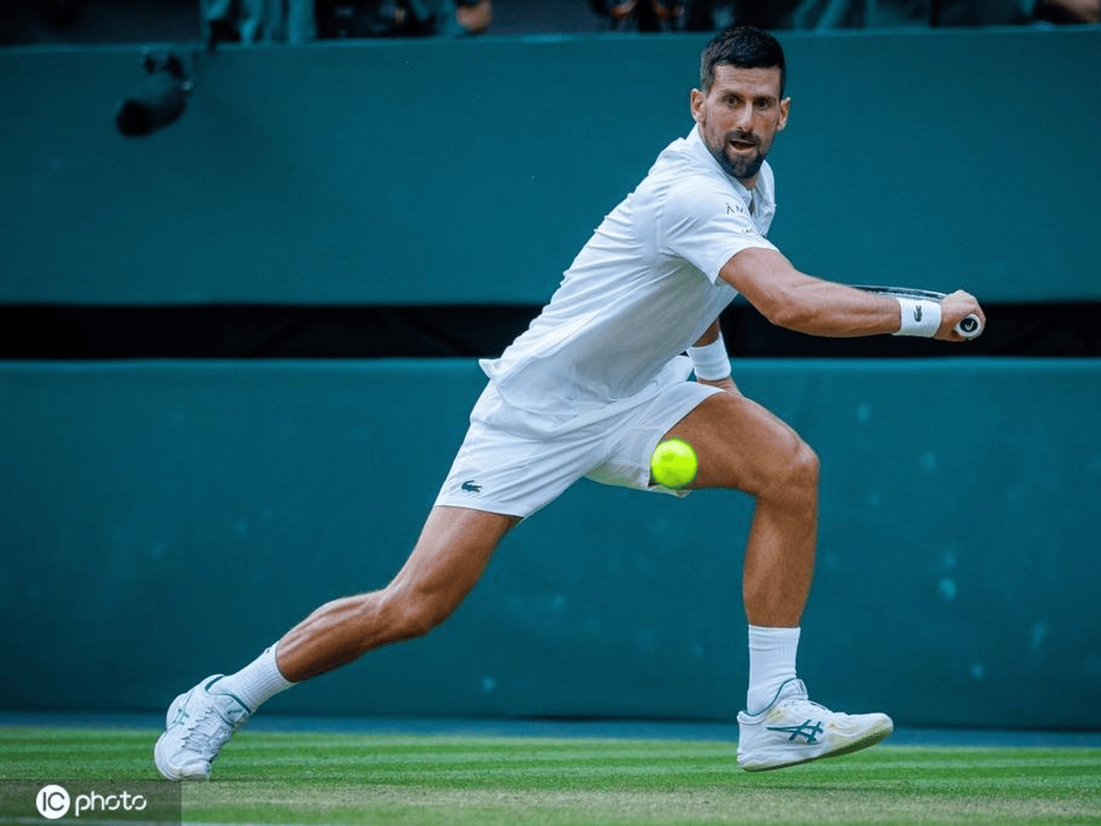 开云体育平台APP-拉沃尔杯横扫澳网，德约科维奇点燃赛场