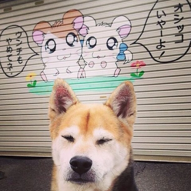 死神来了!那不勒斯VS罗马,35岁C罗关键回合从不手软